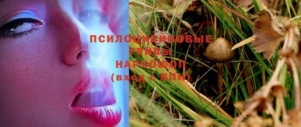 мет Белокуриха